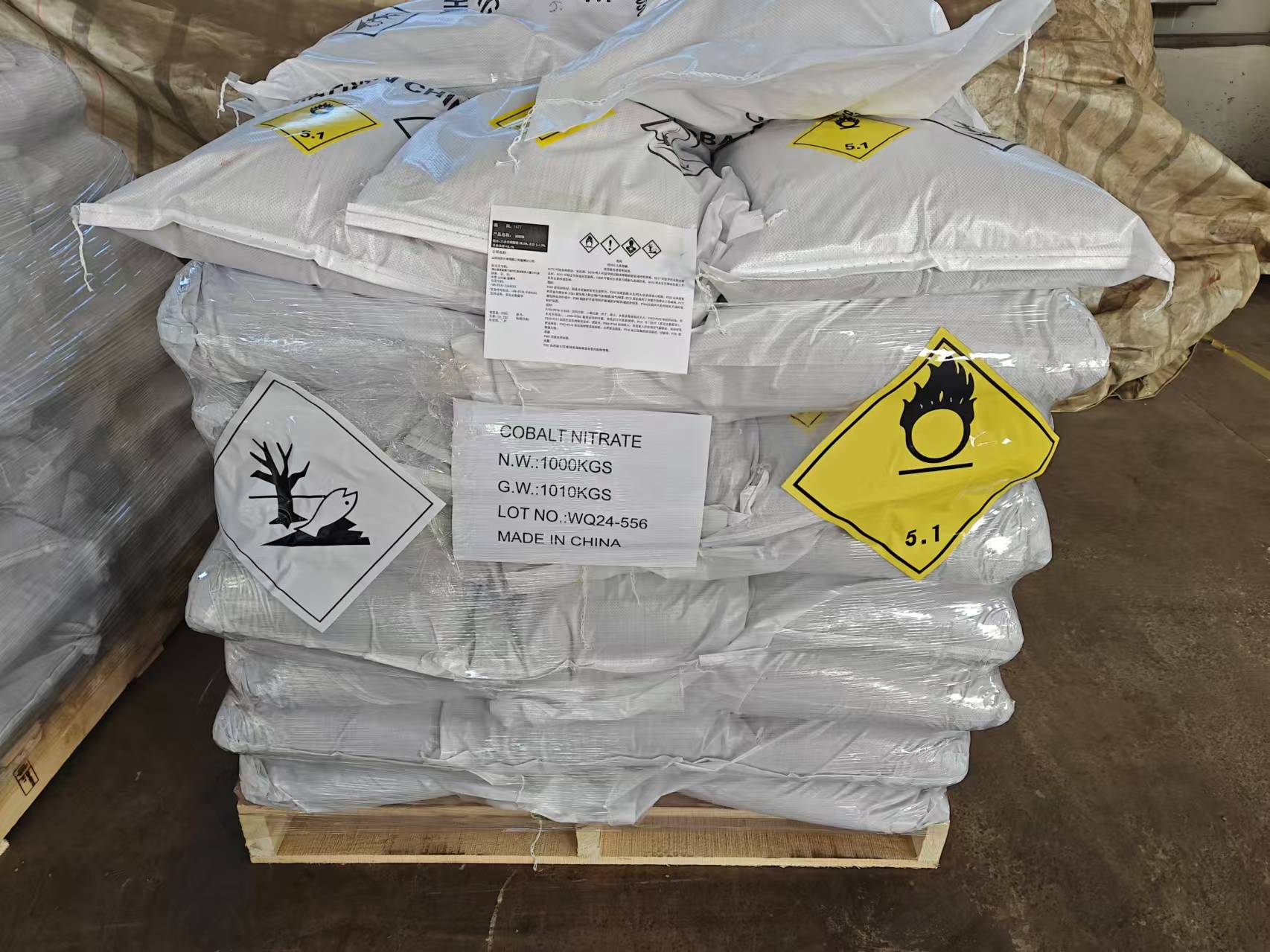 微信图片_20241115135621 微信图片_20241115135621